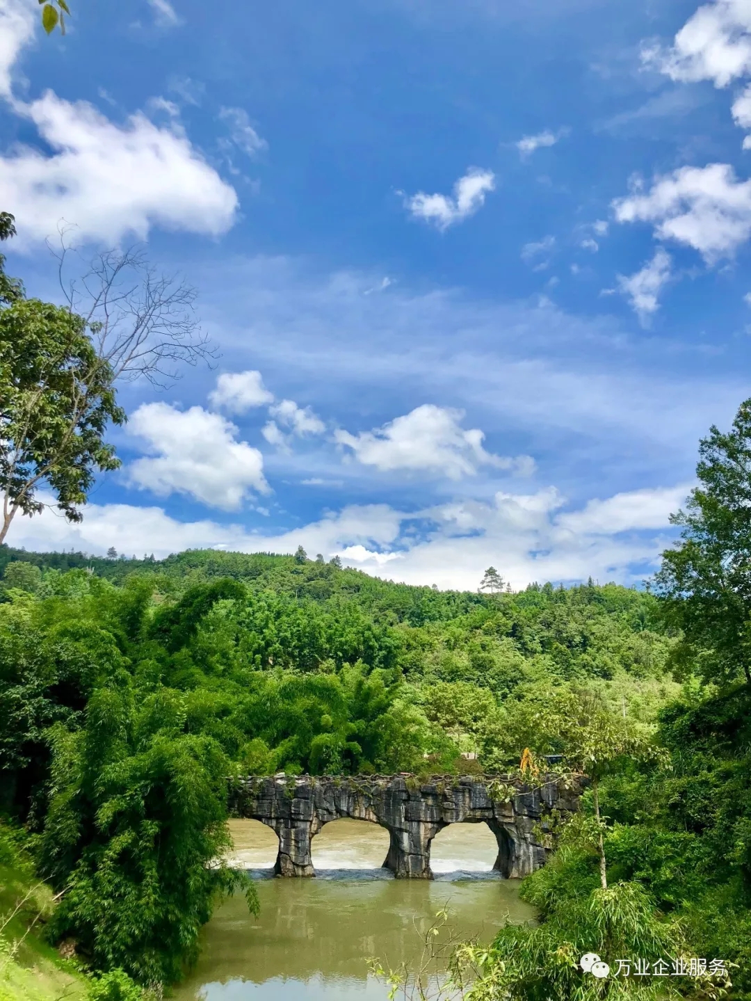 汽車開(kāi)動(dòng)分割線