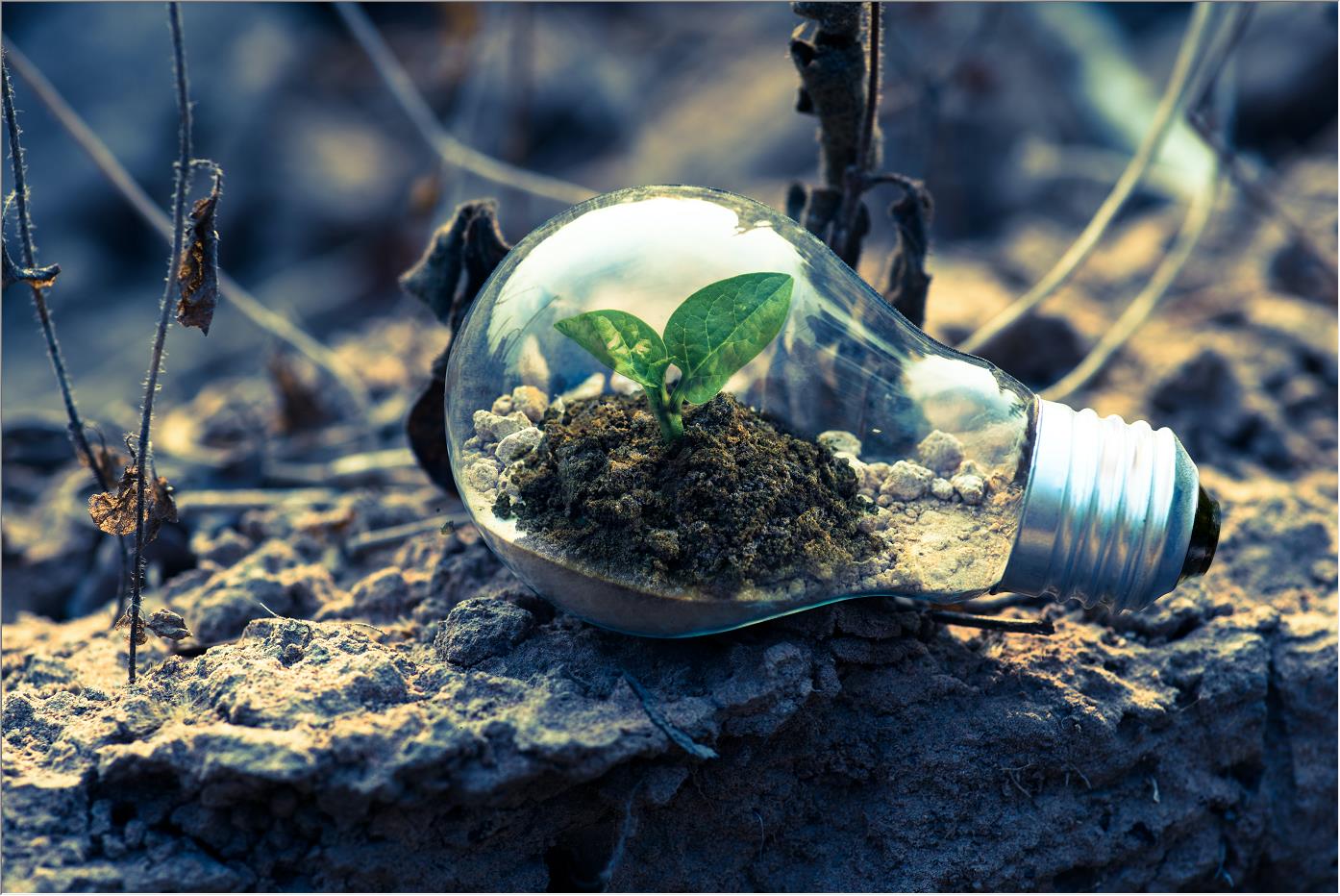 建筑項(xiàng)目的最新趨勢是什么?